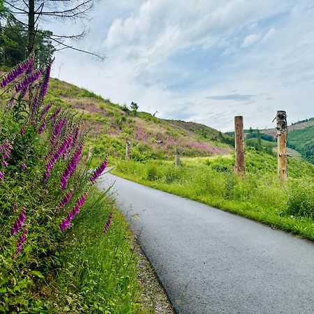 Traumwohnung Mit Sauna, Whirlpool & Wunderschoener Aussicht Plettenberg Eksteriør billede