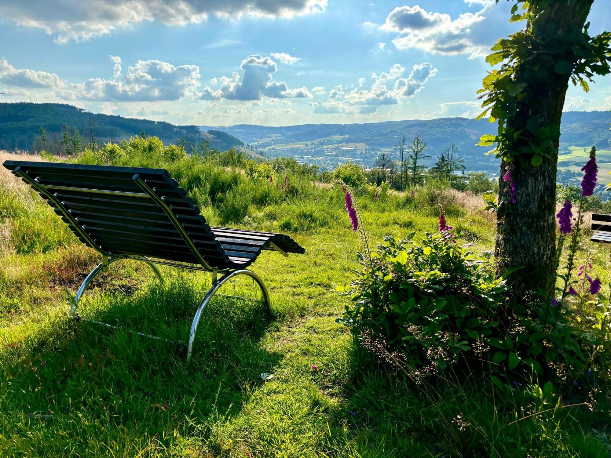 Traumwohnung Mit Sauna, Whirlpool & Wunderschoener Aussicht Plettenberg Eksteriør billede